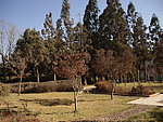 公园