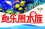 鱼乐圈水族
