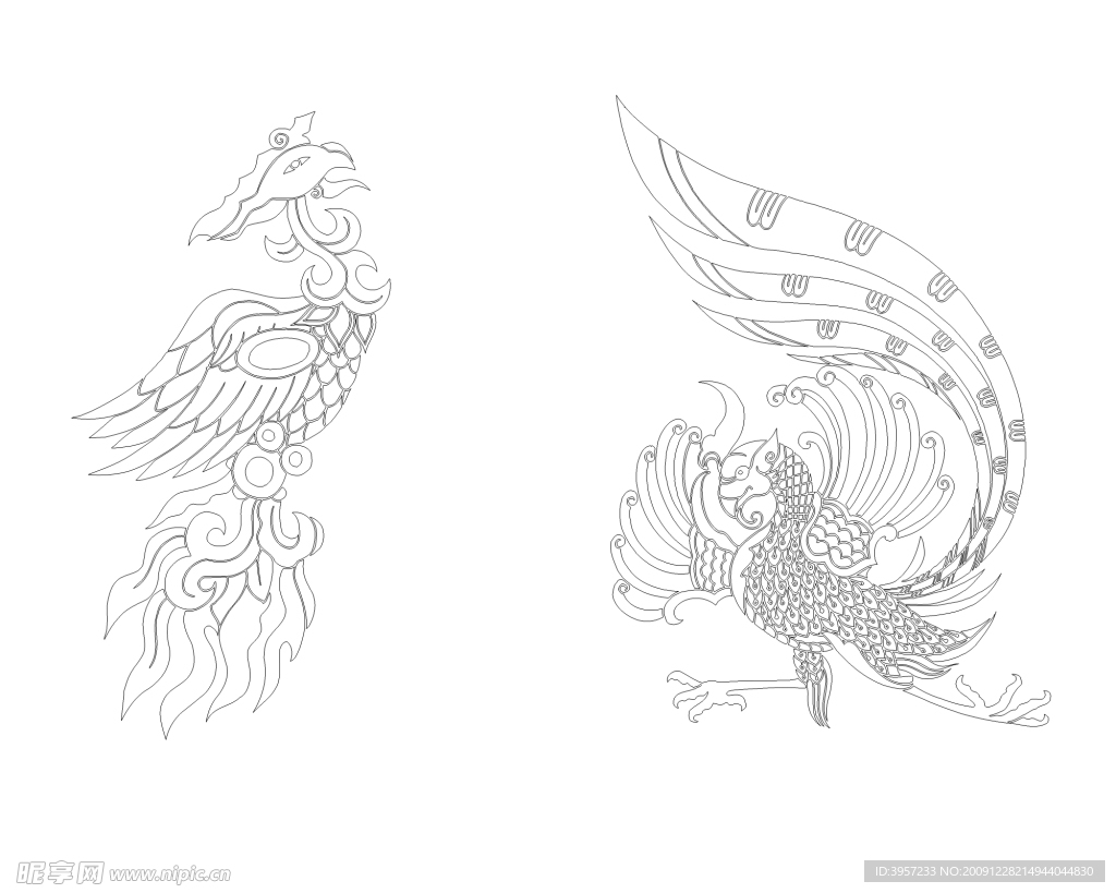 凤凰白描图案001