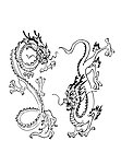 中国龙腾
