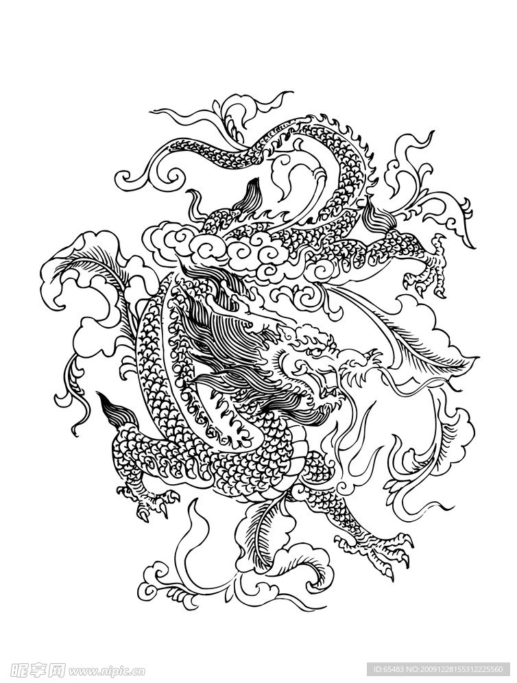 中国龙腾