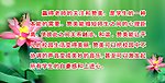 名人名言