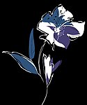 平面花