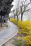扬州风景