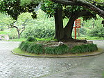 扬州风景