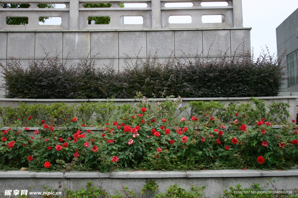 风景