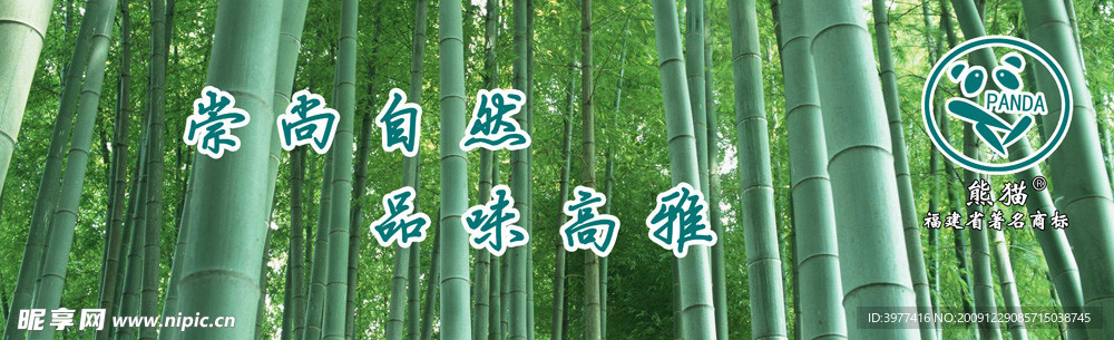 竹林熊猫