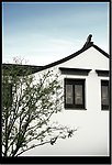 让爱蔓延主题