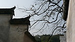 风景
