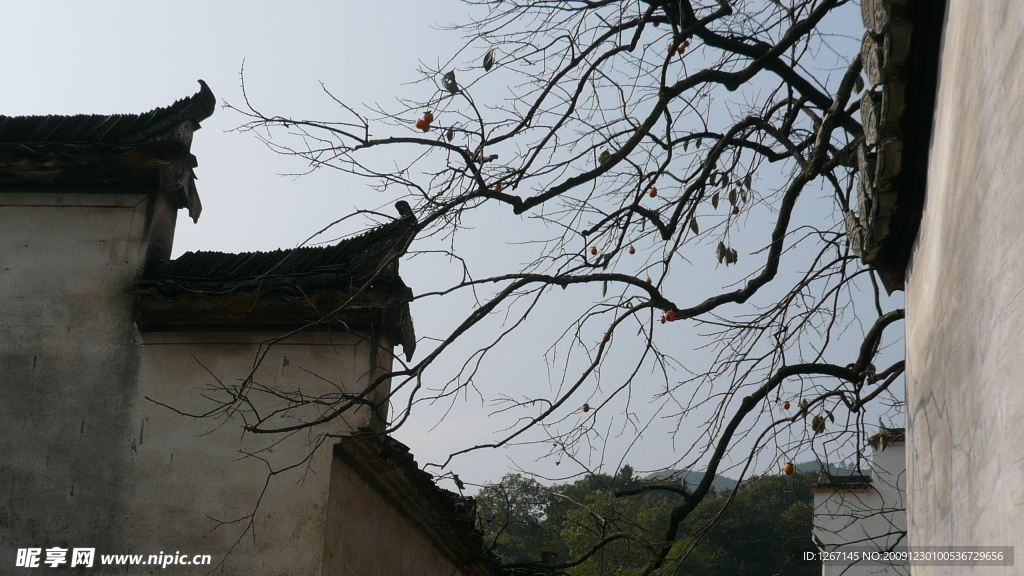 风景