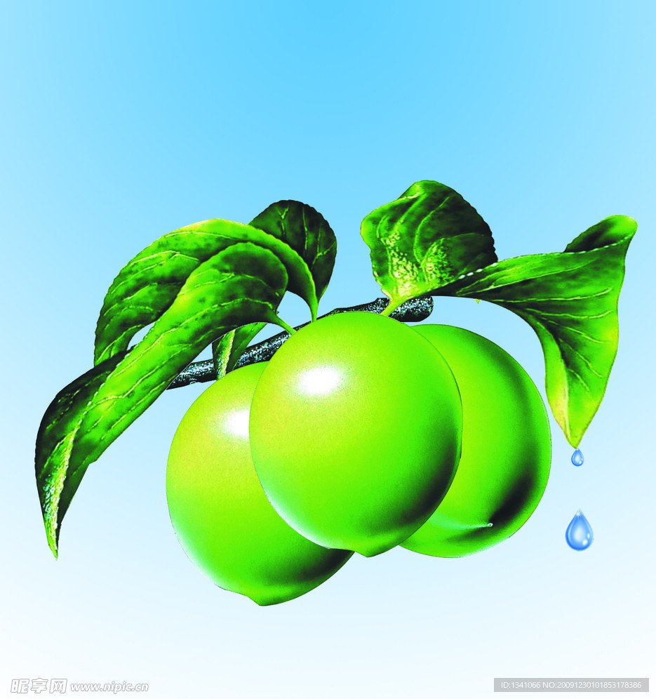 梅子