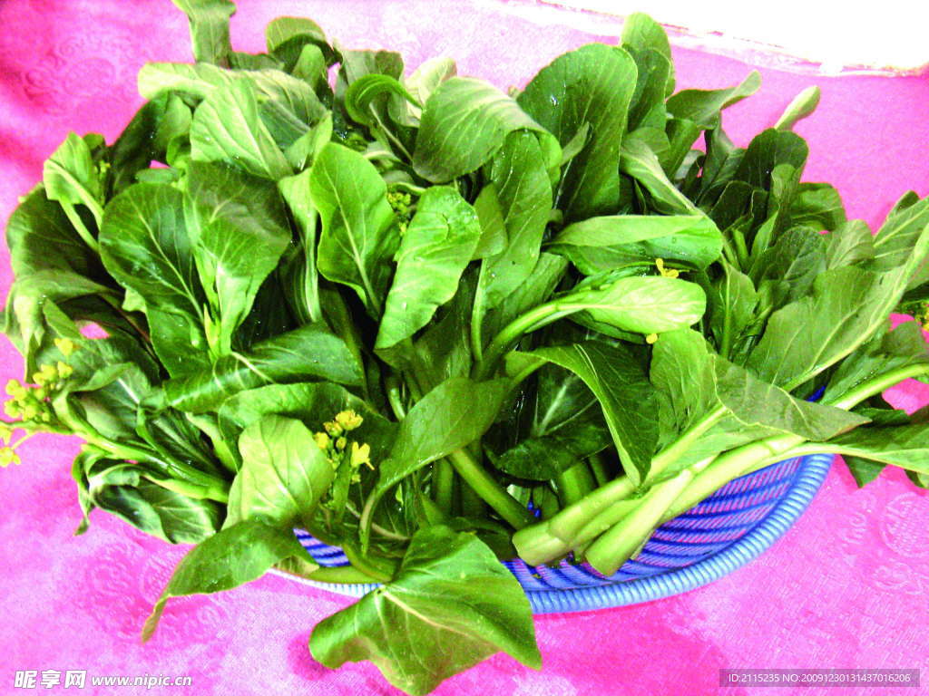 菜心
