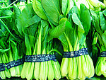 油菜