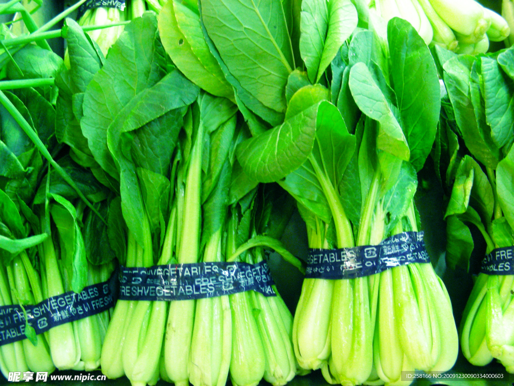 油菜