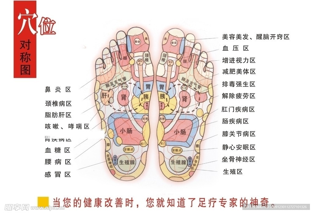 穴位对称图
