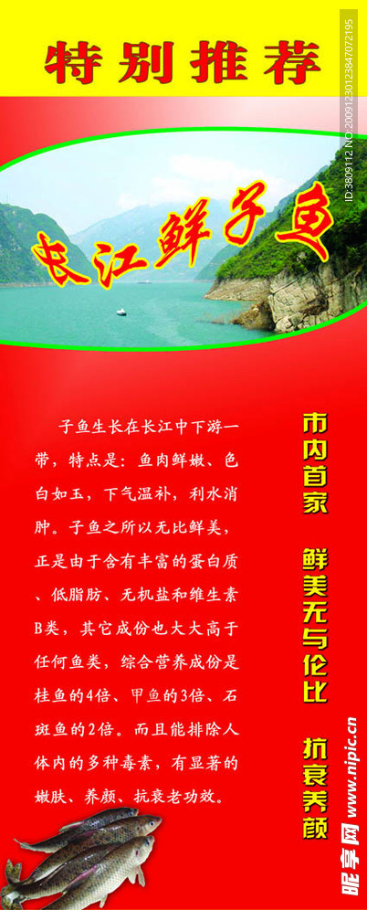 X展架