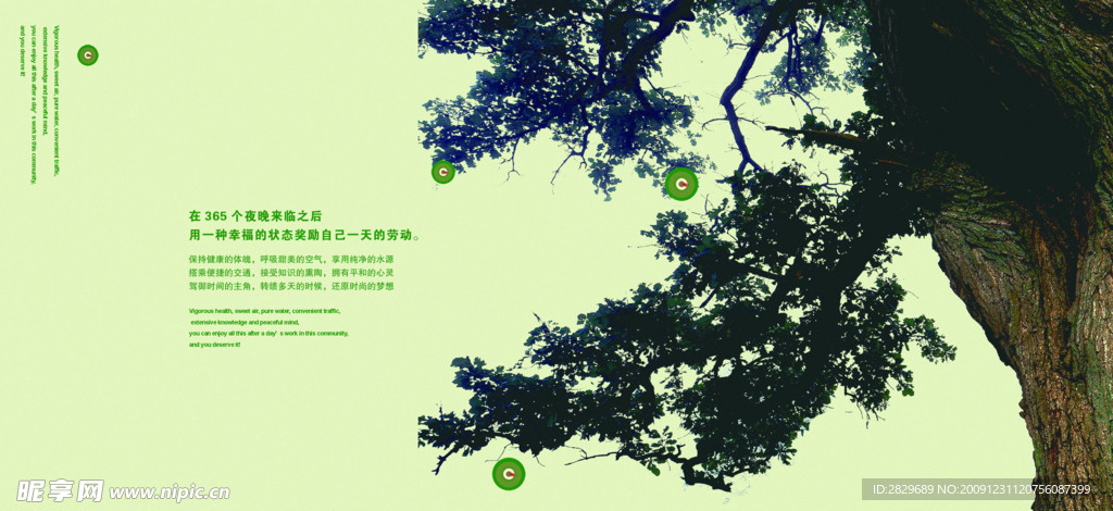 大树