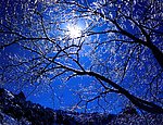 夜景