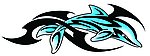 车花海豚