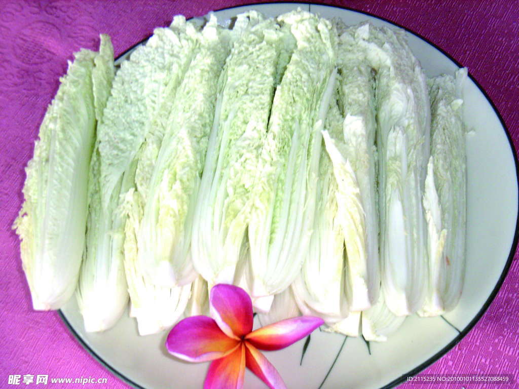 娃娃菜