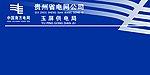 中国南方电网