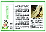 手抄报