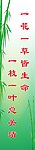 绿色背景