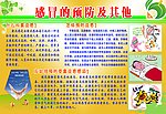 感冒预防及其他展版