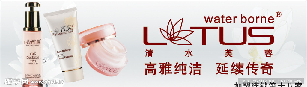 清水芙蓉
