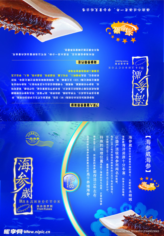 海参 高级 品质