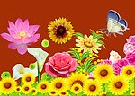 鲜花