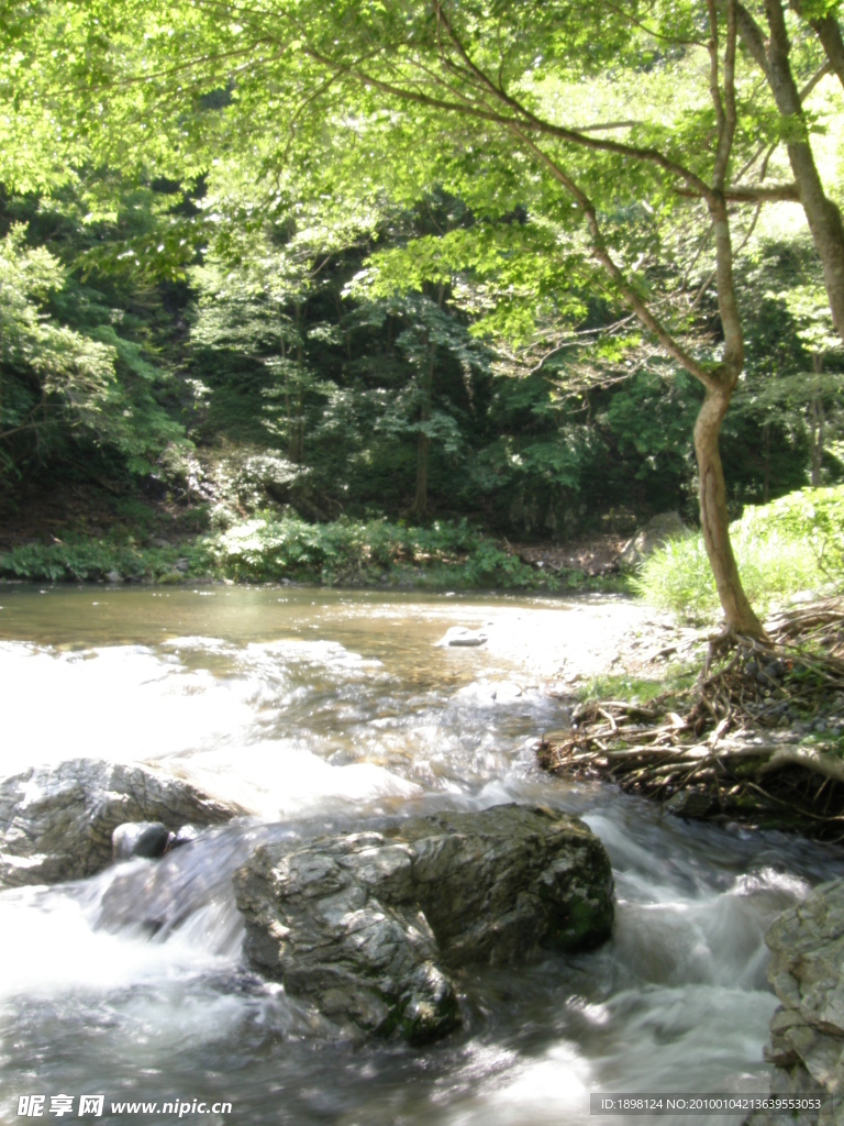 小溪 溪流 瀑布 河流