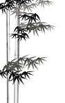 竹 节节高升