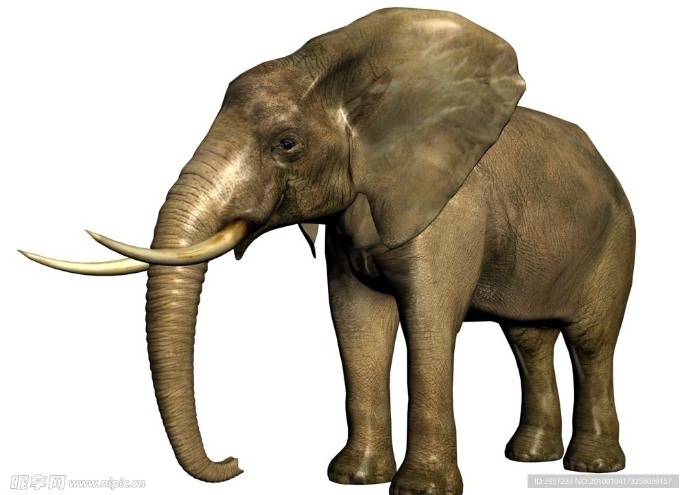 大象 (3d模型)
