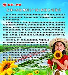 五羊本田简介