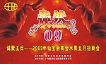 仙宝丽背景墙1
