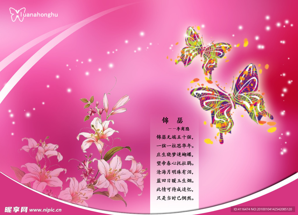 情人节之迷蝴蝶