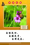 校园文化标语
