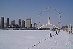 大雪封海河