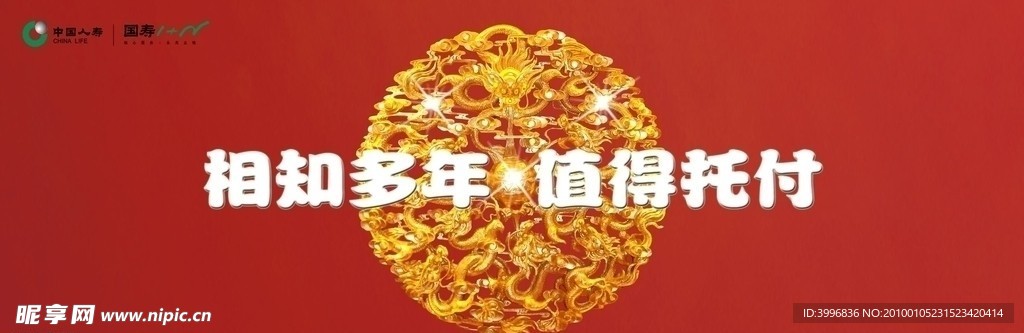 中国人寿 vip 答谢酒会门票 背面