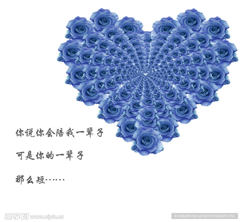 玫瑰