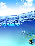 夏天海洋海报