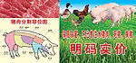 肉店招牌