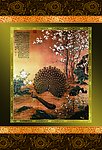 国画孔雀(分层不精细)