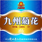 九州菊花2