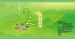 灵芝