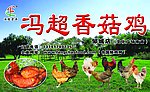 冯超香菇鸡
