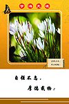 校园文化标语