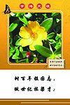校园文化标语