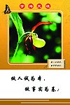 校园文化标语